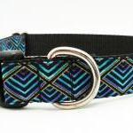 Dog Collar - "Shake Yo..
