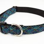 Dog Collar - "Shake Yo..
